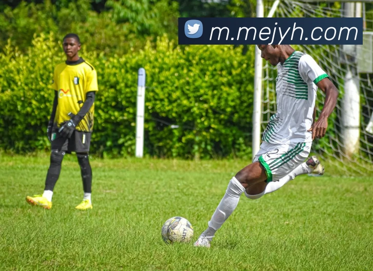 九游会j9平台生态图